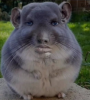 Profile picture for user mantasradziunas